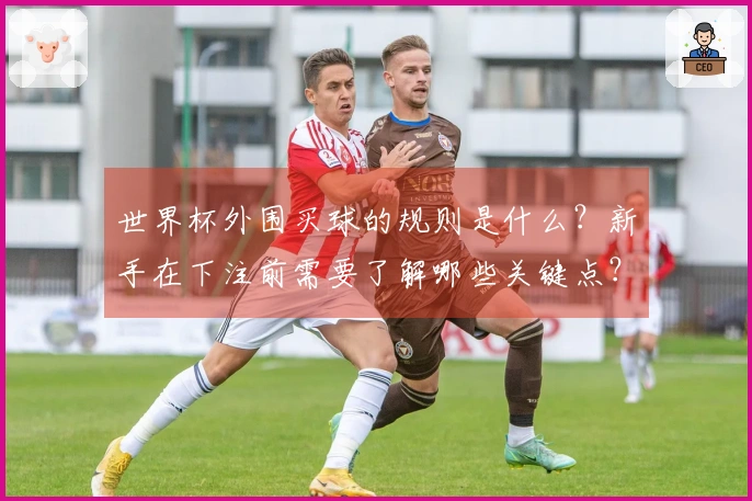 世界杯外围买球的规则是什么？新手在下注前需要了解哪些关键点？