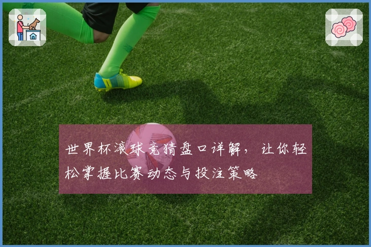 世界杯滚球竞猜盘口详解，让你轻松掌握比赛动态与投注策略