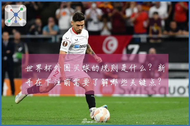 世界杯外围买球的规则是什么？新手在下注前需要了解哪些关键点？