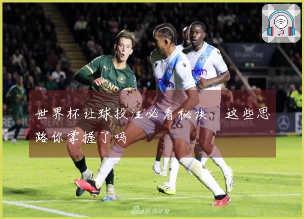 世界杯让球投注必看秘诀，这些思路你掌握了吗